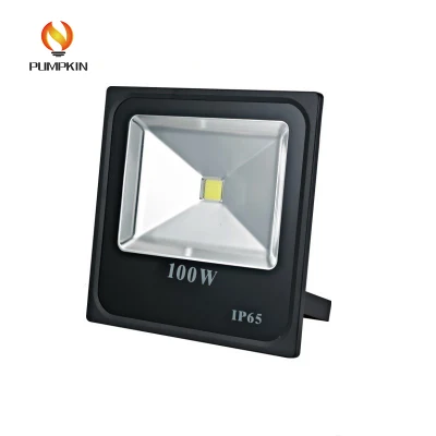 Драйвер IC обеспечения качества Low 100W Светодиодный прожектор
